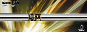 トゥルーテンパー ダイナミックゴールド アイアン True Temper Dynamic Gold Iron テーパー 単品 単品販売 リシャフト時工賃別途必要