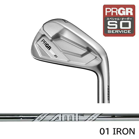 PRGR カスタムオーダー 01アイアン トゥルーテンパー AMT TOUR WHITE＃4.5.6.7.8.9.＃P番手別販売 コンボ対応可能