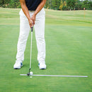 LP Swing マルチパッティングミラー Multi Putting Mirror LEFT PELVIS SWING パッティングレーン
