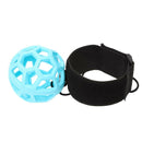 SIN ANA BALL シン アナ ボール 練習器具 ゴルフ スイング練習 ゴルフスイング スイング矯正 アナウンサー 坂元龍斗