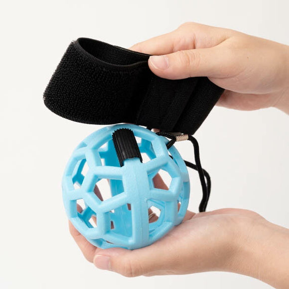 SIN ANA BALL シン アナ ボール 練習器具 ゴルフ スイング練習 ゴルフスイング スイング矯正 アナウンサー 坂元龍斗