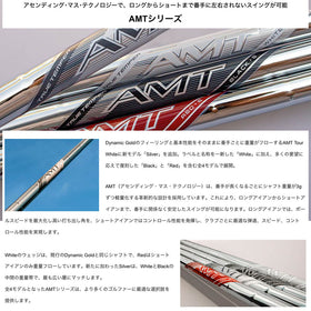トゥルーテンパー ダイナミックゴールド Dynamic Gold AMT WHITE SILVER BLACK RED アイアンシャフト 最適 スイング 2025 新モデル