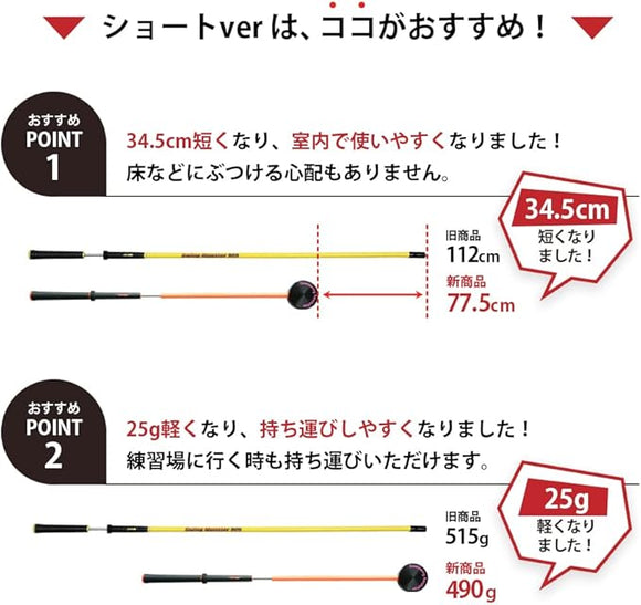 新色登場 スイングモンスター 725 TYPE H ショートバージョン 練習器具 素振り スイング練習 室内素振り オリジナル ブラック 2カラー