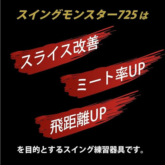 新色登場 スイングモンスター 725 TYPE H ショートバージョン 練習器具 素振り スイング練習 室内素振り オリジナル ブラック 2カラー