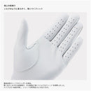 イオンスポーツ ゼロフィット プレミアムグローブ 左手用 ZEROFIT PREMIUM GLOVE 天然皮革 ゴルフグローブ 片山晋呉プロ着用モデル 高級モデル